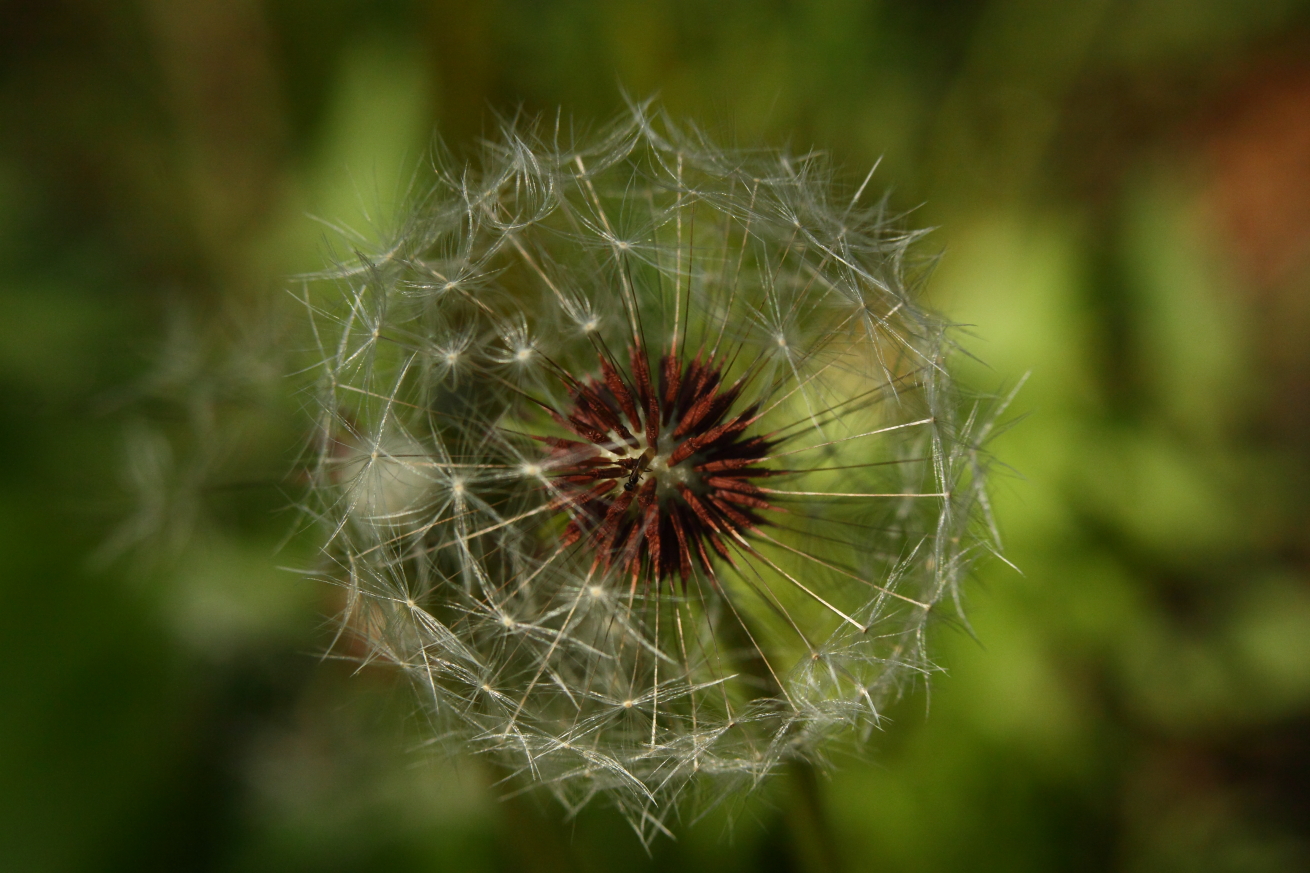 2015 05 17 HTP 000055262